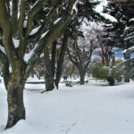 Plaza de Armas de Coyhaique
