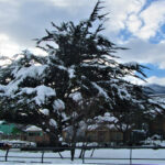 Plaza del Pionero