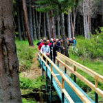 Reserva Nacional Coyhaique