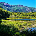 Reserva Nacional Coyhaique
