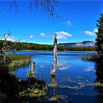 Reserva Nacional Coyhaique