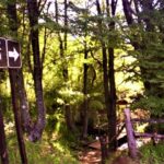 Reserva Nacional Coyhaique