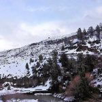 Parque Nacional Los Alerces