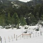 Carretera Austral