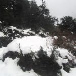 Carretera Austral
