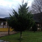 Carretera Austral