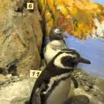 Museo de La Patagonia