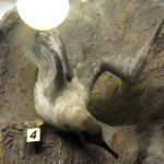 Museo de La Patagonia