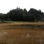 Puerto Pañuelo