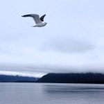 Lago Nahuel Huapi