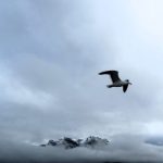 Lago Nahuel Huapi