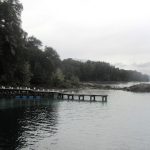 Parque Nacional Los Arrayanes