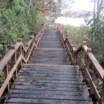 Parque Nacional Los Arrayanes