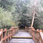 Parque Nacional Los Arrayanes