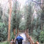 Parque Nacional Los Arrayanes