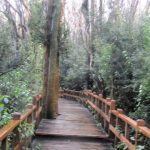 Parque Nacional Los Arrayanes