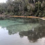 Parque Nacional Los Arrayanes