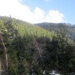 Ruta 40 (Esquel x Bariloche)