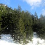 Ruta 40 (Esquel x Bariloche)
