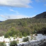 Ruta 40 (Esquel x Bariloche)