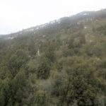 Cerro Otto
