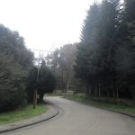 Villa La Angostura