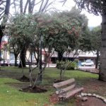Plaza Sarmiento