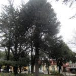 Plaza Sarmiento