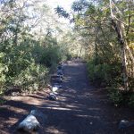 Parque Nacional Vicente Pérez Rosales