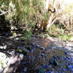 Río Los Patos