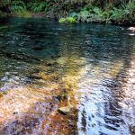 Río Los Patos