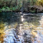 Río Los Patos