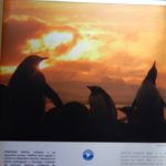 Galeria Sur Vivo