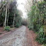 Parque Philippi