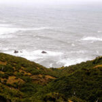 Parque Nacional Chiloé "Trekking Pirulil"