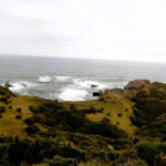 Parque Nacional Chiloé "Trekking Pirulil"