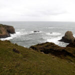 Parque Nacional Chiloé "Trekking Pirulil"