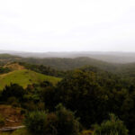 Parque Nacional Chiloé "Trekking Pirulil"