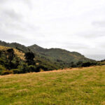 Parque Nacional Chiloé "Trekking Pirulil"