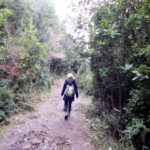 Parque Nacional Chiloé "Trekking Pirulil"