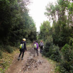 Parque Nacional Chiloé "Trekking Pirulil"