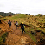 Parque Nacional Chiloé "Trekking Pirulil"