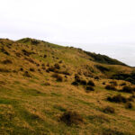 Parque Nacional Chiloé "Trekking Pirulil"