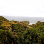 Parque Nacional Chiloé "Trekking Pirulil"