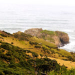 Parque Nacional Chiloé "Trekking Pirulil"