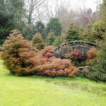 Desbravando as Américas