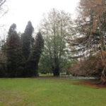 Desbravando as Américas