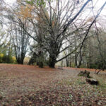 Jardín Botanico de la Universidad Austral