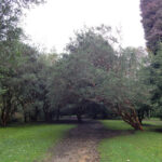 Desbravando as Américas