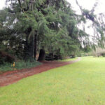 Desbravando as Américas